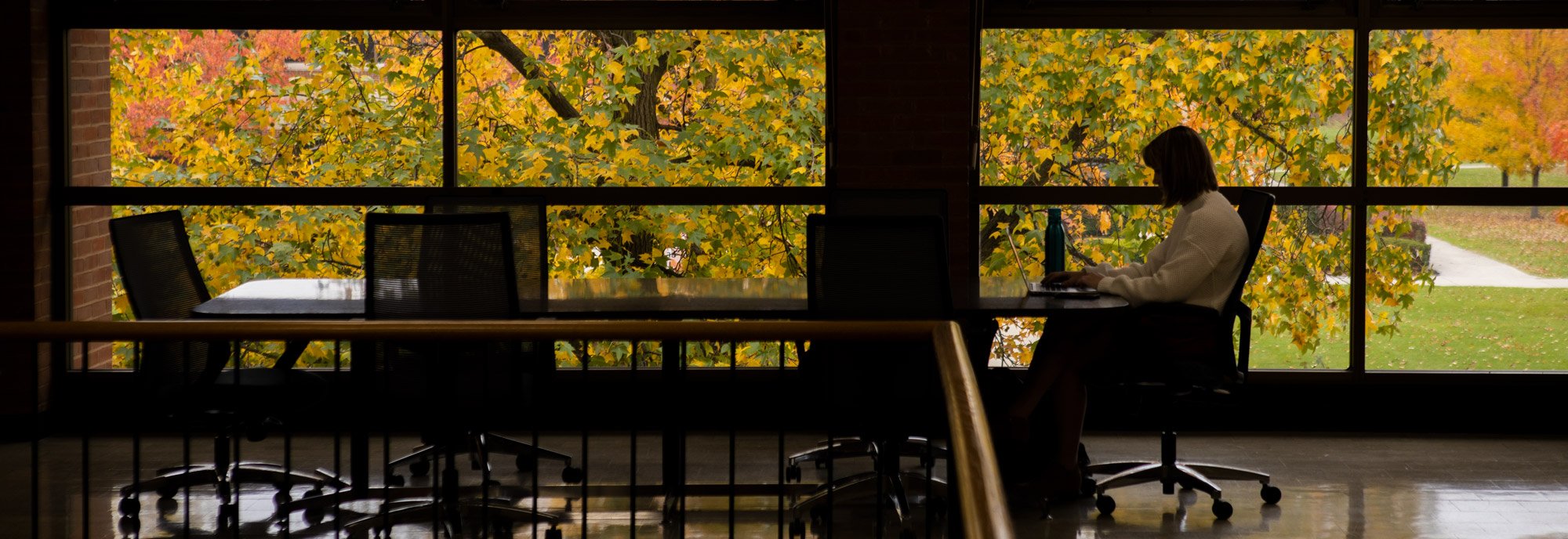 A student works in the 葫芦影业 College of Pharmacy. Fall leaves decorate the campus of 葫芦影业.