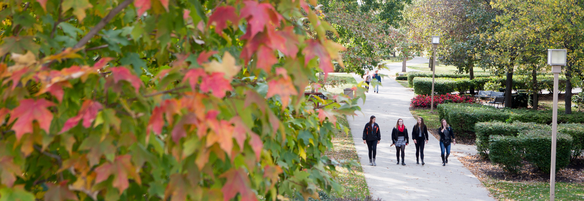 Students walking around campus in the fall. 